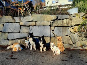 Social Walk Garsten Mi 22.7.26, 18.00h - 19:30h Social Walk