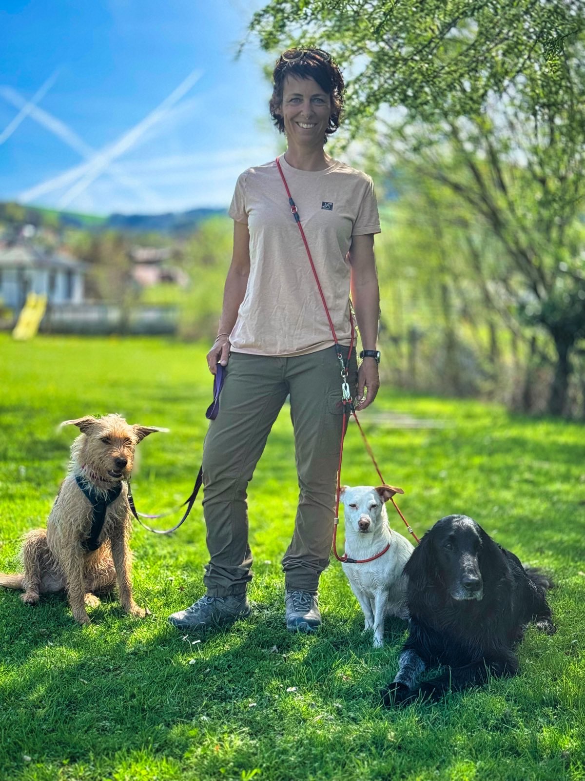 Über mich - Katharina Granig mit 3 Hunden